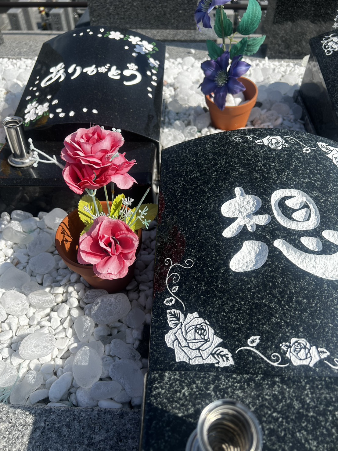 花壇葬「彩」全景 - 色とりどりの花々に囲まれた樹木葬